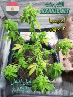 AddText_٠١-٢٣-٠٩.٥٧.٠٦.jpg