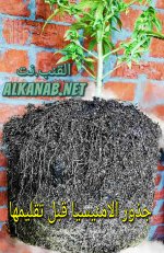 AddText_٠١-٢٣-١٠.٢٢.٢٠.jpg