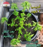 AddText_٠١-٢٣-١٠.٣٢.٤٠.jpg
