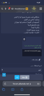 IMG_3087.png IMG_3087.png