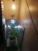 IMG_20240128_144339.jpg