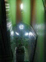 IMG_20240125_004827.jpg