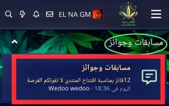 IMG_٢٠٢٤٠١٢١_٢٠٣٧٥٢.jpg IMG_٢٠٢٤٠١٢١_٢٠٣٧٥٢.jpg