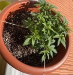 IMG_4790.jpeg
