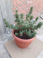 IMG_٢٠٢٤٠٢٢٦_١٧٣٩٤٧.jpg