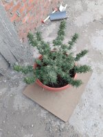 IMG_٢٠٢٤٠٢٢٦_١٧٣٩٣٥.jpg
