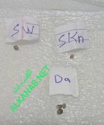 IMG_٢٠٢٤٠٣٠٨_٠٩٤٠٥٩.jpg IMG_٢٠٢٤٠٣٠٨_٠٩٤٠٥٩.jpg