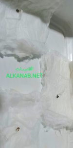 IMG_٢٠٢٤٠٣١١_١٩٣٩٢٩.jpg