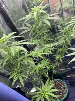 IMG_0756.jpeg