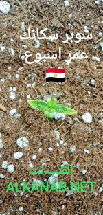 IMG_٢٠٢٤٠٣٢١_٠٢٢٨٢٩.jpg