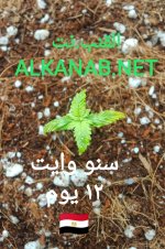 IMG_٢٠٢٤٠٣٢٤_٠٥٠٧٠٨.jpg
