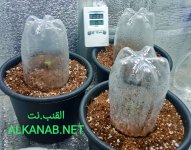 IMG_٢٠٢٤٠٣٢٤_٠٥٠٩٠٦.jpg