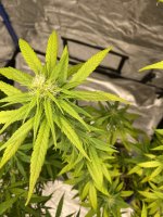 IMG_1013.jpeg
