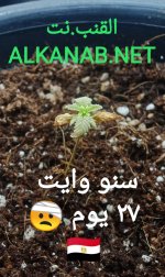 IMG_٢٠٢٤٠٤٠٨_٠٢٢٦٢٣.jpg