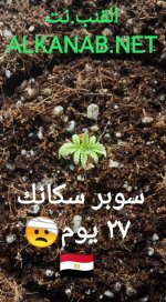 IMG_٢٠٢٤٠٤٠٨_٠٢٢٥٢١.jpg