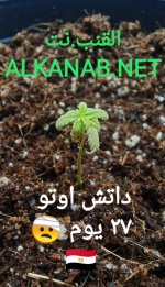 IMG_٢٠٢٤٠٤٠٨_٠٢٢٧٢٢.jpg