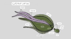 Screenshot_٢٠٢٤٠٤٠٢_٠٤٤٦٤٢_Google.jpg