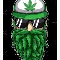 MG Kush